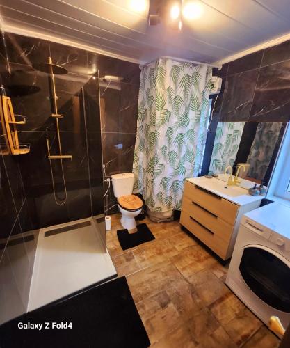 une salle de bain avec une douche, des toilettes et un lavabo dans l'établissement Appt Avengers à 10 minutes de Disneyland, à Condé-Sainte-Libiaire