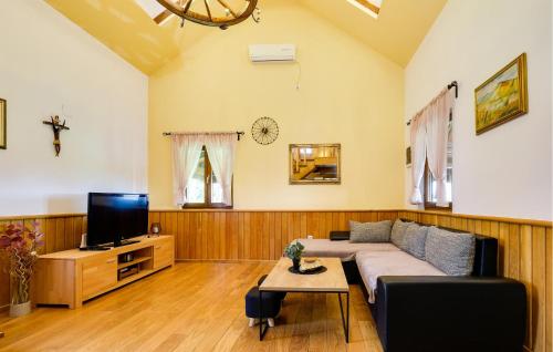 a living room with a couch and a tv at Gorgeous Home In Rovisce in Rovišće