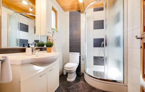 a bathroom with a toilet and a glass shower at Stunning Home In Rovisce With Outdoor Swimming Pool in Rovišće