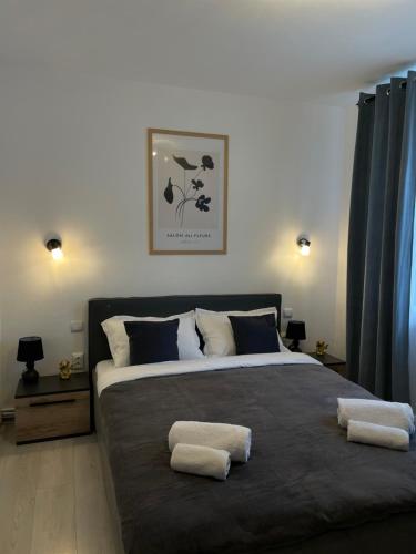 1 dormitorio con 1 cama grande y 2 toallas. en Cozy Apartment Sfanta Vineri Zalau en Zalău