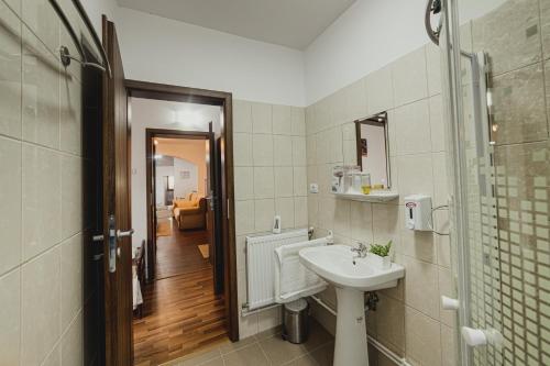 bagno con lavandino e specchio di Casa de Vinuri Vranceana 