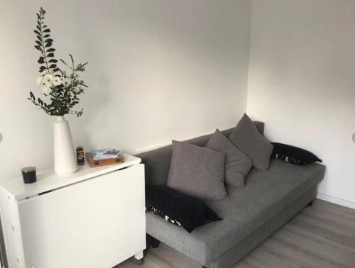 sala de estar con sofá gris con almohadas en Studio 17 minutes de Bordeaux en Ambarès-et-Lagrave