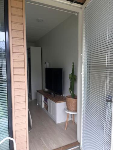 a living room with a flat screen tv and a cactus at Cozy and relaxing apartment in Ingas, Espoo in Espoo