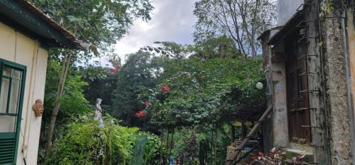 Taman di luar Chales Internacional