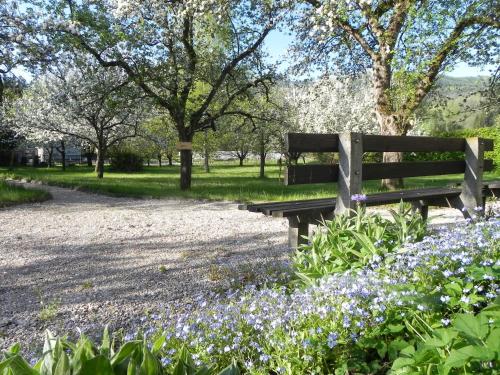 a park bench sitting in the middle of flowers at Gasthof Grüner Baum in Kirchberg am Wechsel