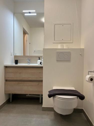 uma casa de banho com um WC e um lavatório em Saint-Maur Créteil - Proche Paris centre et Disney em Saint-Maur-des-Fossés