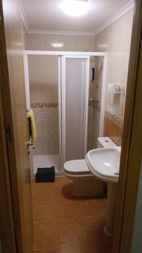 uma casa de banho com um chuveiro, um WC e um lavatório. em HOSTAL CEPA DE ORO em Aranda de Duero