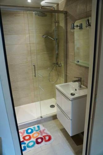 un bagno con doccia e lavandino di Studio rénové dans le centre a Cauterets