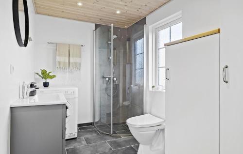 La salle de bains est pourvue d'une douche, de toilettes et d'un lavabo. dans l'établissement Awesome Home In Hadsund With Wifi, à Hadsund