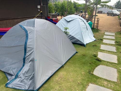 two tents are set up on the grass at Hippie Land Nature Stay in Hampi