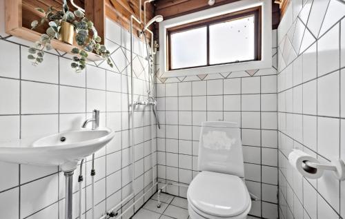baño con aseo y lavabo y ventana en 2 Bedroom Lovely Home In Frederiksvrk, en Frederiksværk