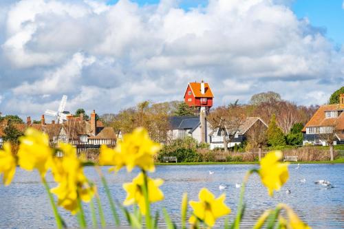 a group of yellow flowers in front of a lake with a red house at 4 Truman Lodge in Thorpeness