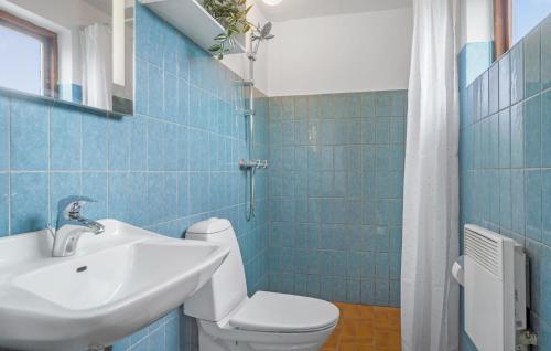 ein blau gefliestes Bad mit WC und Waschbecken in der Unterkunft 3 Bedroom Awesome Home In Slagelse in Slagelse