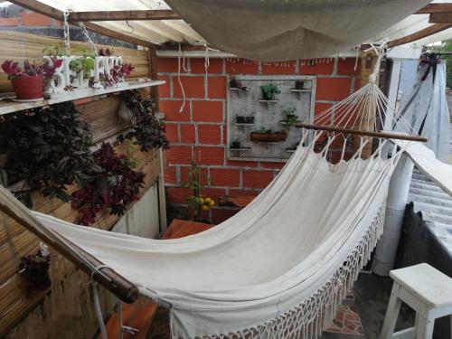 a hammock in a greenhouse with plants at Terracota Mirador Filandia in Filandia