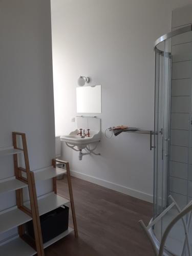 une salle de bain avec un lavabo et une douche en verre dans l'établissement Les Logis du Hallay, à La Haie-Fouassière