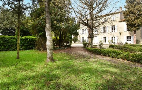 une allée menant à une maison blanche avec des arbres dans l'établissement Lovely Home In Entraigues-Sur-La-Sorg, à Entraigues-sur-la-Sorgue