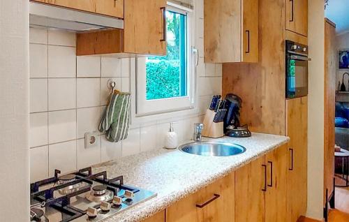 a small kitchen with a sink and a stove at Gorgeous stacaravan In Epe With Wifi in Epe