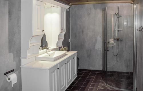 a bathroom with a sink and a shower at Pet Friendly Home In Engerdal With Kitchen 