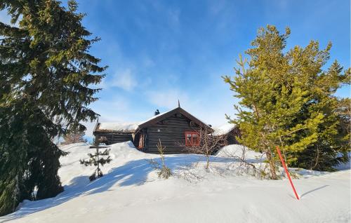a log cabin in the snow with trees at 6 Bedroom Lovely Home In Treungen in Fjone