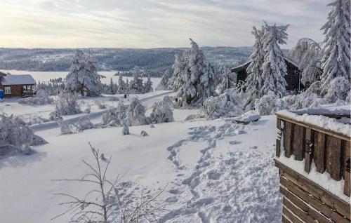 a snow covered yard with trees and a house at 6 Bedroom Lovely Home In Treungen in Fjone