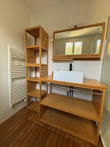 une salle de bain avec un lavabo et un miroir dans l'établissement L'entre nous, Superbe Maison au centre de St Aignan, à Saint-Aignan