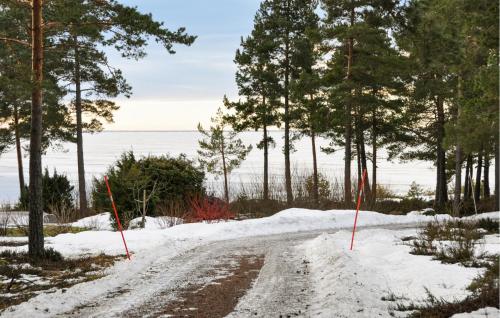 eine unbefestigte Straße mit Schnee und Bäumen darauf in der Unterkunft Cozy Home In Väse With Wifi in Väse