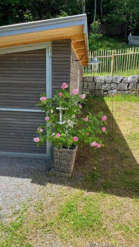 a pot of pink flowers next to a garage at Casa 2 in Todtmoos