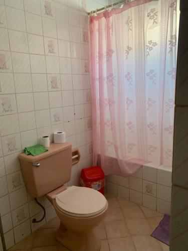 a bathroom with a toilet and a pink shower curtain at Habitación doble in Pisco