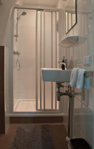 a bathroom with a sink and a shower at Het Wapen van Noordwijkerhout in Noordwijkerhout