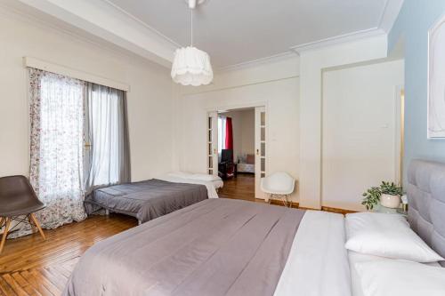 Amazing 3BDR Apt with Unique Roof Garden in Plaka