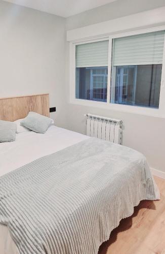 a bedroom with a bed and two windows at Laralva Home in Pontevedra