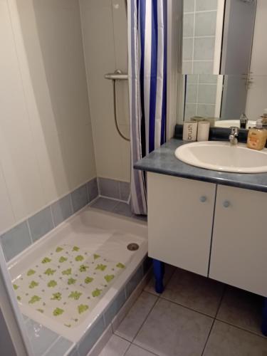 une salle de bain avec un lavabo et une douche dans l'établissement Appartement P2 Le Californie Grau du Roi, au Grau-du-Roi