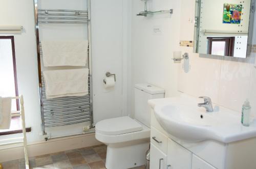 a white bathroom with a toilet and a sink at Fedwen Uchaf Tresaith in Penbryn