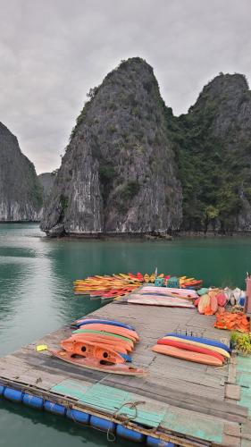a group of boats sitting on a dock in the water at Tiny House Cat Ba in Cat Ba