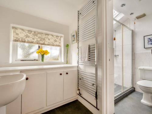 ein Bad mit einem Waschbecken, einem WC und einem Fenster in der Unterkunft 5 Bed in Threlkeld SZ270 in Threlkeld