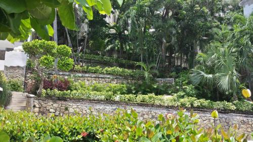 a garden with a stone wall and plants at Villa Guitarron gran terraza vista espectacular 6 huespedes piscina gigante in Acapulco