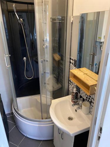 W łazience znajduje się prysznic i umywalka. w obiekcie Sparrow Apartment in Kazimierz w Krakowie