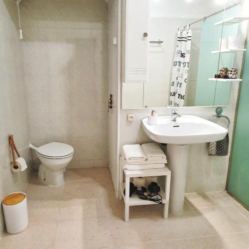 a bathroom with a sink and a toilet at Can Carreras de Sant Jaume in Sant Jaume de Llierca