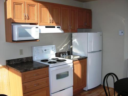 a kitchen with a white stove and a refrigerator at Studios d'hébergement du Domaine in Saint-Irénée