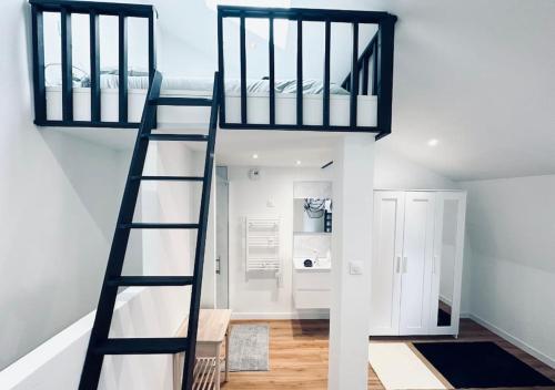 - une mezzanine dans une chambre avec une échelle dans l'établissement Nouveau! Centre Lille T3 avec WiFi, TV, Netflix, à Lille