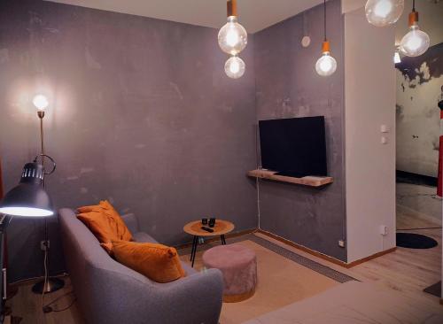 a living room with a couch and a tv at Viihtyisä 27 neliön studio Mikkelin Nuijamiehessä in Mikkeli
