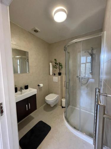 a bathroom with a shower and a toilet and a sink at Camberwell Living Studio - Zone 2 London in London