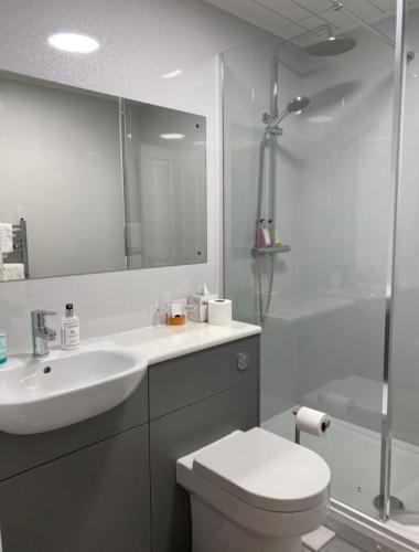 a bathroom with a toilet and a sink and a shower at The Boars Head Hotel in Sudbury