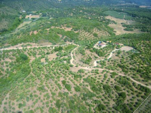 an aerial view of a field of trees on a hill at Complejo Rural Mirador de la Alcaidía in Hornachuelos