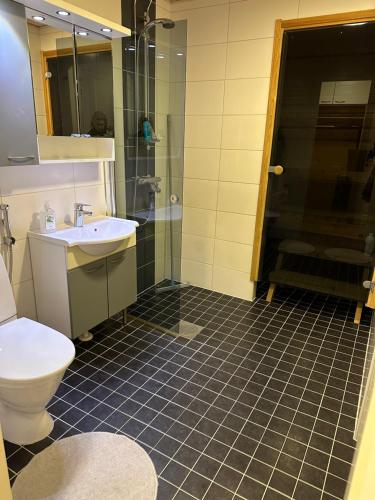 La salle de bains est pourvue d'un lavabo, d'une douche et de toilettes. dans l'établissement ”Berlin”-home heart of Tornio, à Tornio
