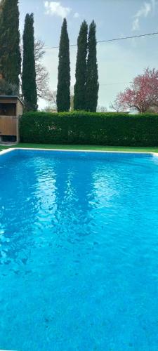 une grande piscine bleue avec des arbres en arrière-plan dans l'établissement Jolie Roulotte, à Issendolus