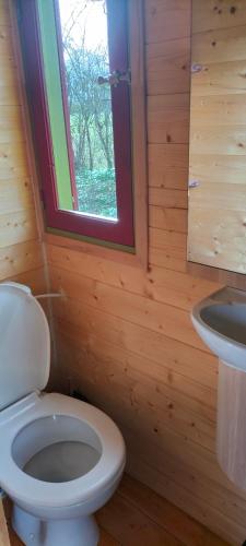 une salle de bain avec toilettes et lavabo dans l'établissement Jolie Roulotte, à Issendolus