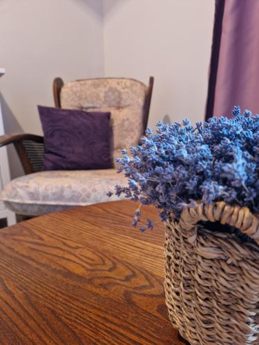 ein Korb mit blauen Blumen auf einem Tisch mit einem Stuhl in der Unterkunft Bite Le Vanda 