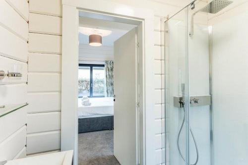 a bathroom with a shower and a glass door at Roydon Marina - Lodge 4 - Hot Tub in Roydon