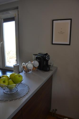 a kitchen counter with a bowl of apples and a camera at TRFAppartamento in Bielsko-Biała